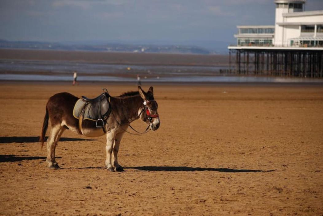 XxfabulousxX 4Bed semi, sleeps 8, 2 bathrooms Blackpool Bagian luar foto